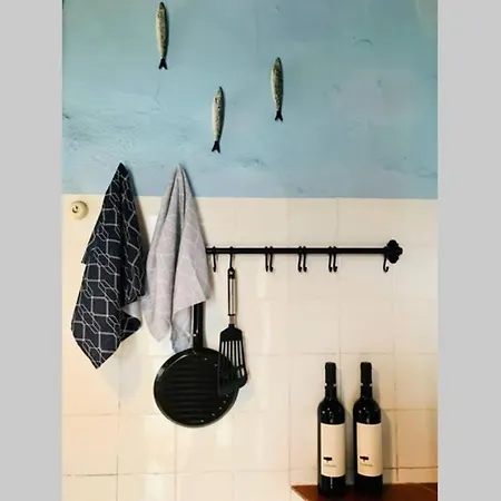 La Casa Flores, Maison Traditionnelle Portugaise Willa Odeceixe